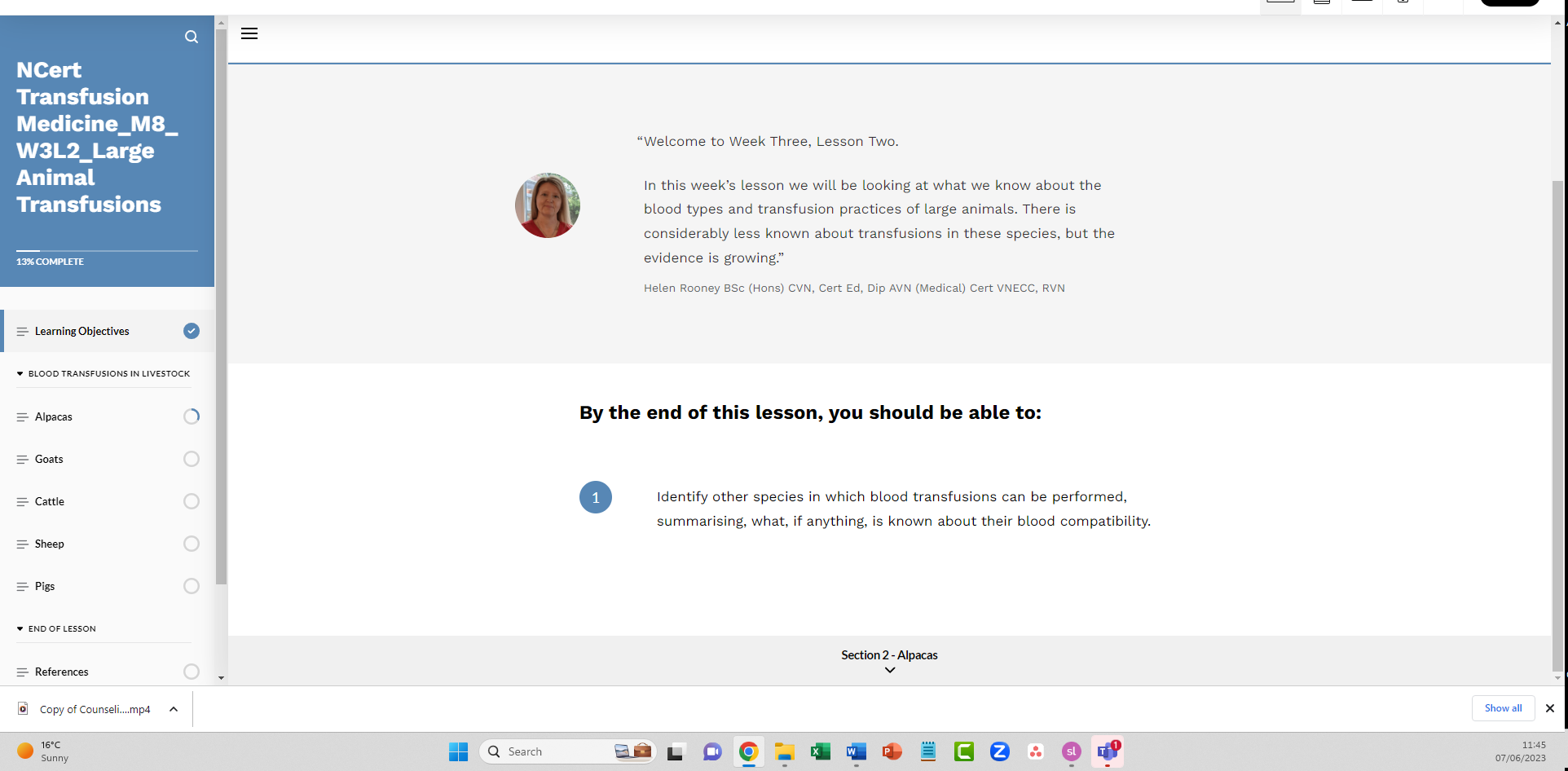 Divider Options For Rise Course Full width dividers in Rise | E-Learning Heroes