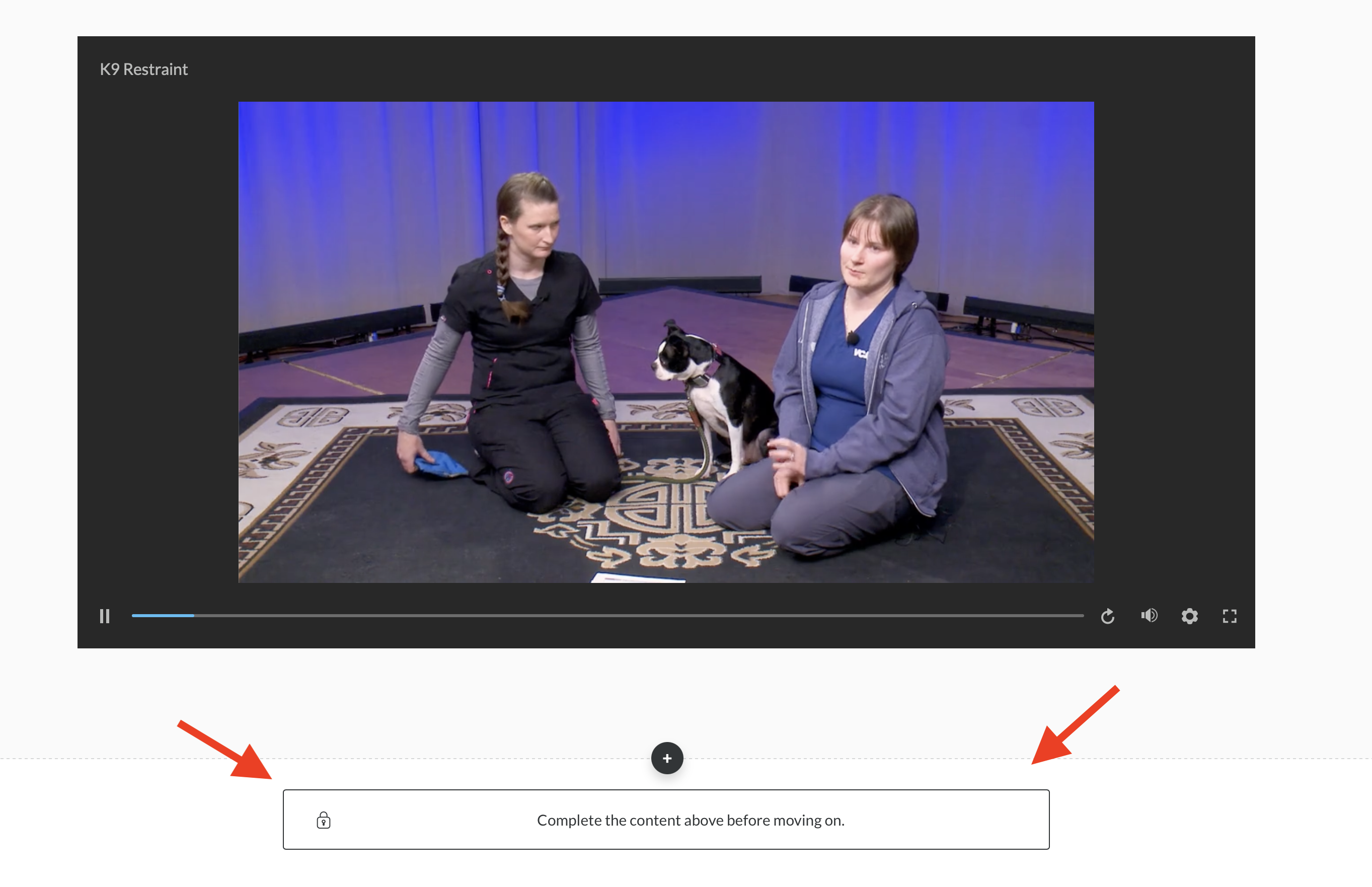 Prohibiting Learners from moving to next section with Storyline ...