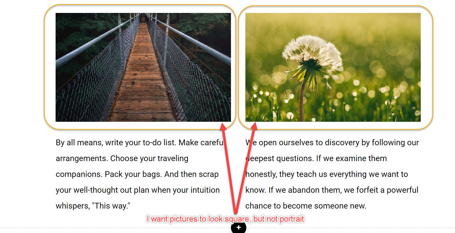 Is it possible to change aspect ratio or orientation in 'text in ...