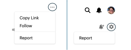 Two small screenshots showing the Ellipsis button's drop-down menu and the Gear icon's menu. Each menu has an option to report the item.