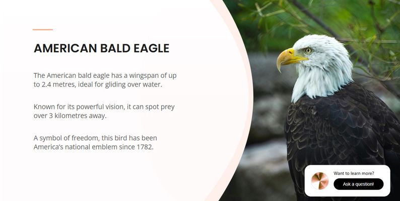 A screenshot of an eLearning activity showing facts about the American Bald Eagle. An AI assistant widget is shown in the bottom-right corner.