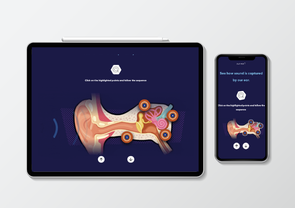 Animated Rise course | E-Learning Heroes
