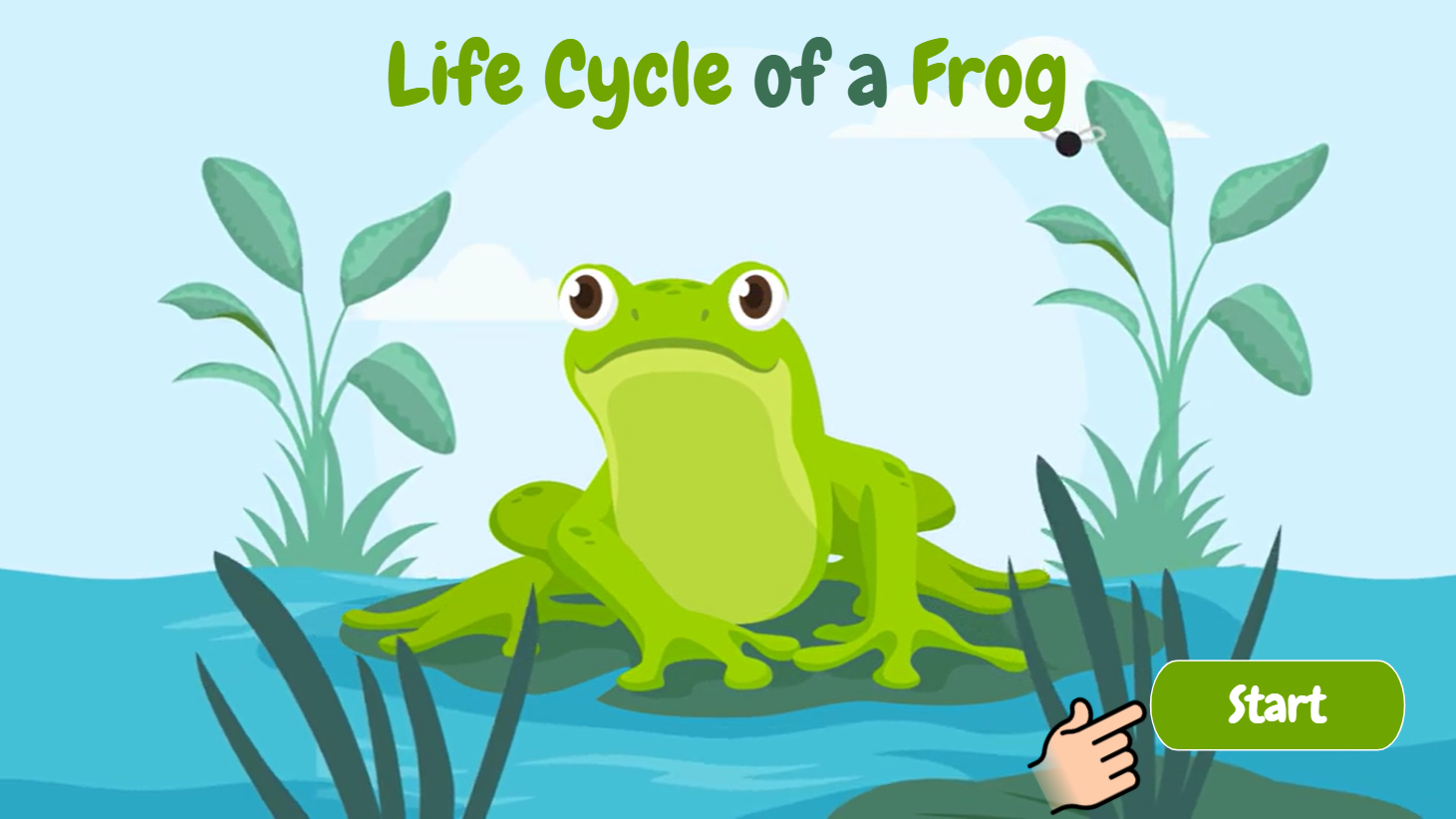 ELC #522 - Life Cycle of a Frog | E-Learning Heroes