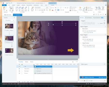Animated gif depicting usage of the "lorem" and "rand" functions in Storyline to create placeholder text in a textbox.